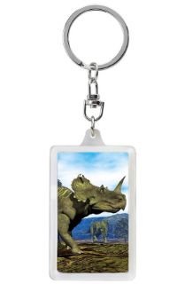 Obrázek z Klíčenka 3D 3,6x5,6cm - Triceratops(12) 